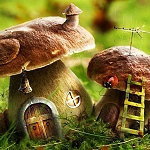 Администратор