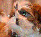 Татьяна Дериул