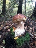 Фото профиля: lsa